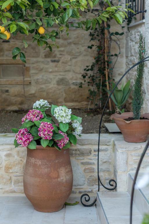Cretan Rhapsody - Rustick villa in Síva Sívas Esterno foto